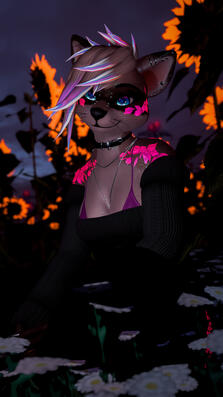 Medi Photoshoot