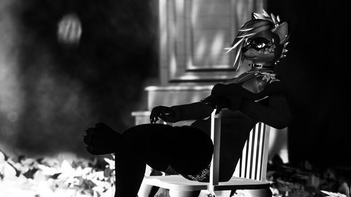 Medi Photoshoot
